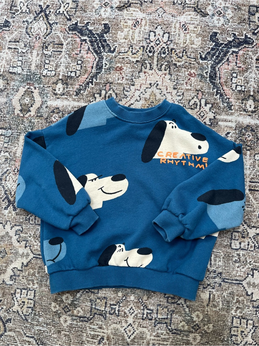 Zara Blue Dog Print Kids Sweatshirt
